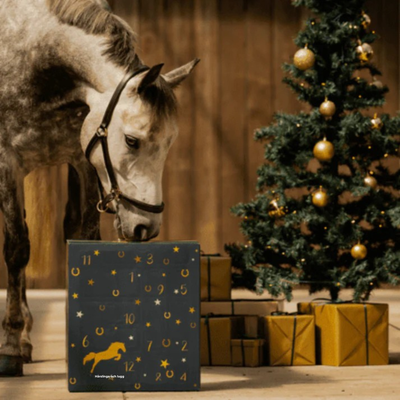 HorseChristmas™ | The Countdown for Real Horse Lovers